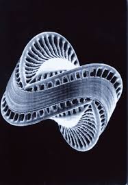 Diatom 1.jpg